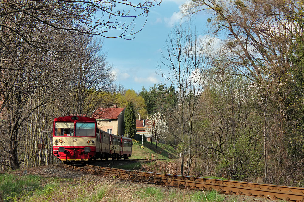 810 445 - 7