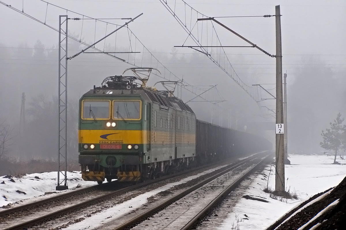 131 036-6 + 131 035-8