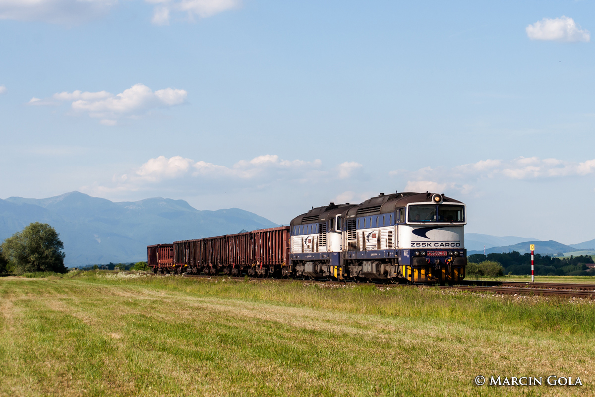 756 004-8