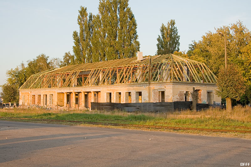 W trakcie metamorfozy...