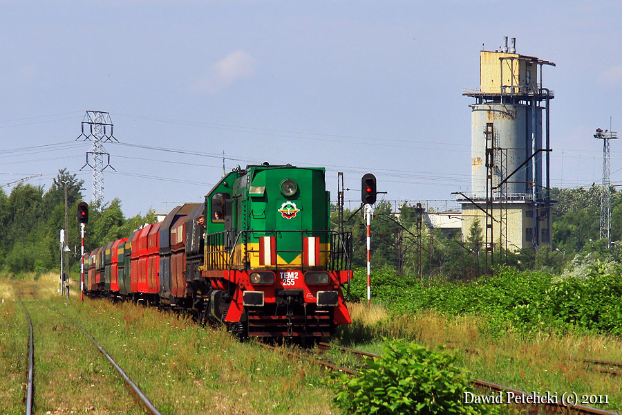 TEM2-255