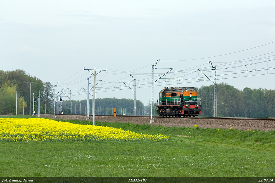 TEM2-181