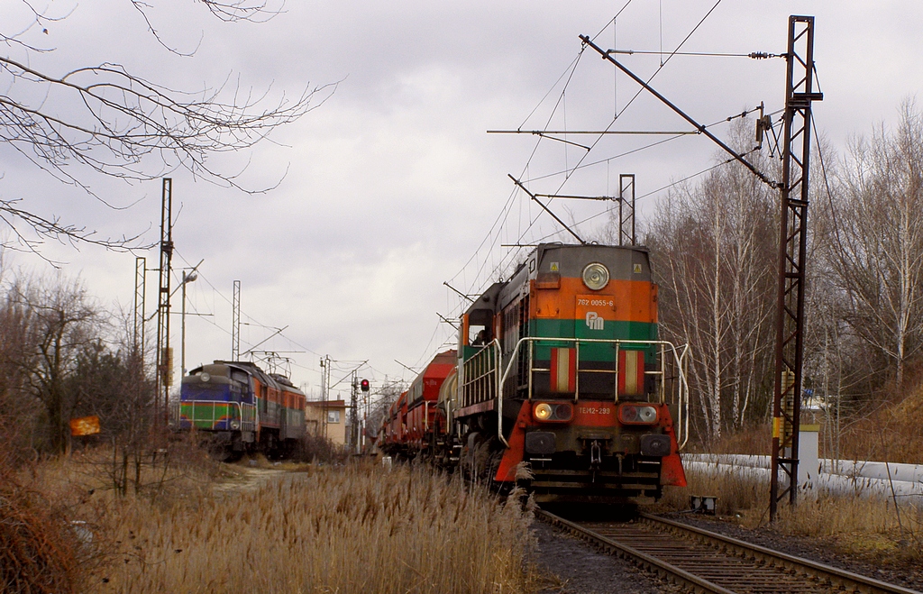 TEM2-299