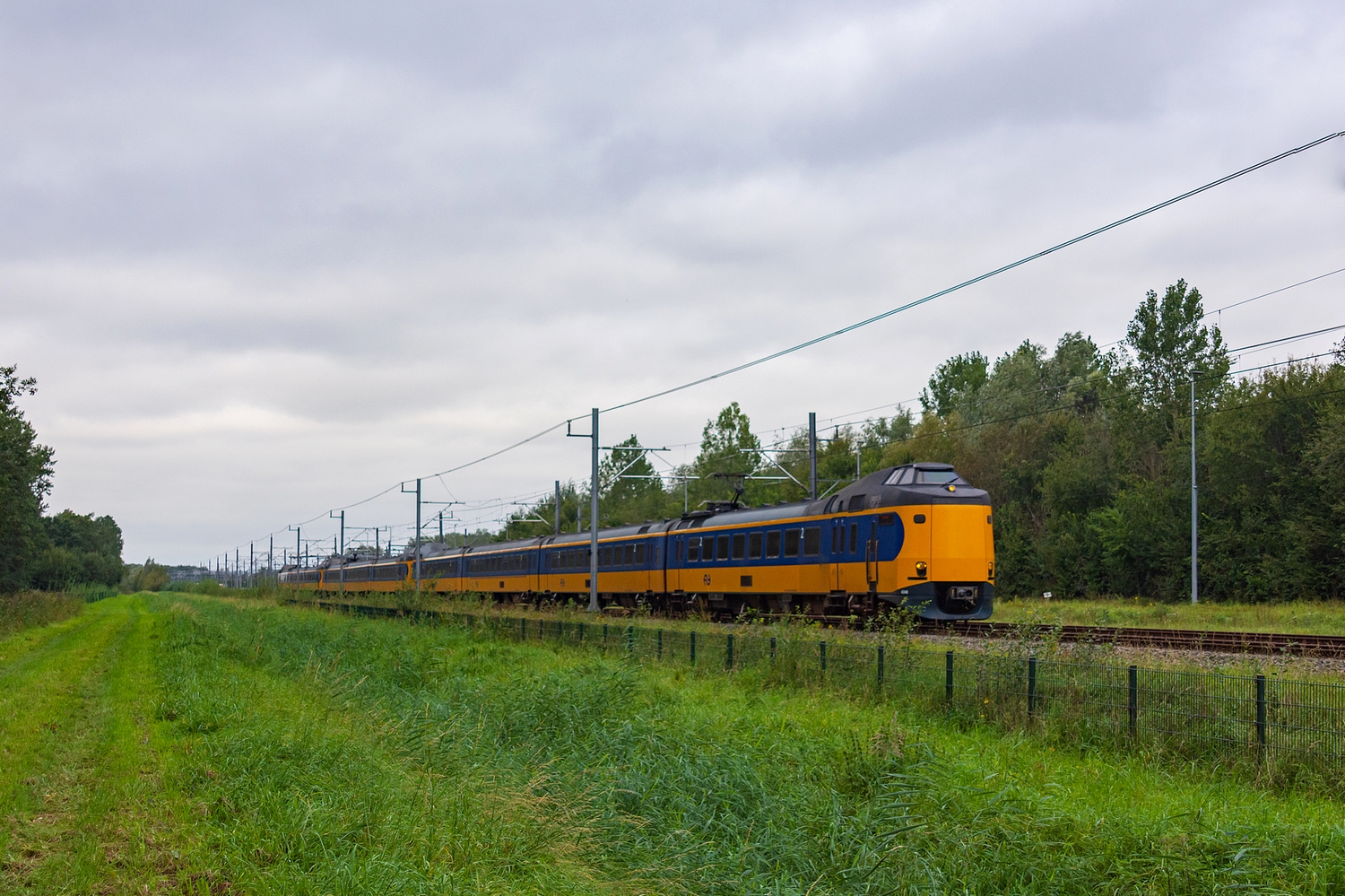 trio Koploperów