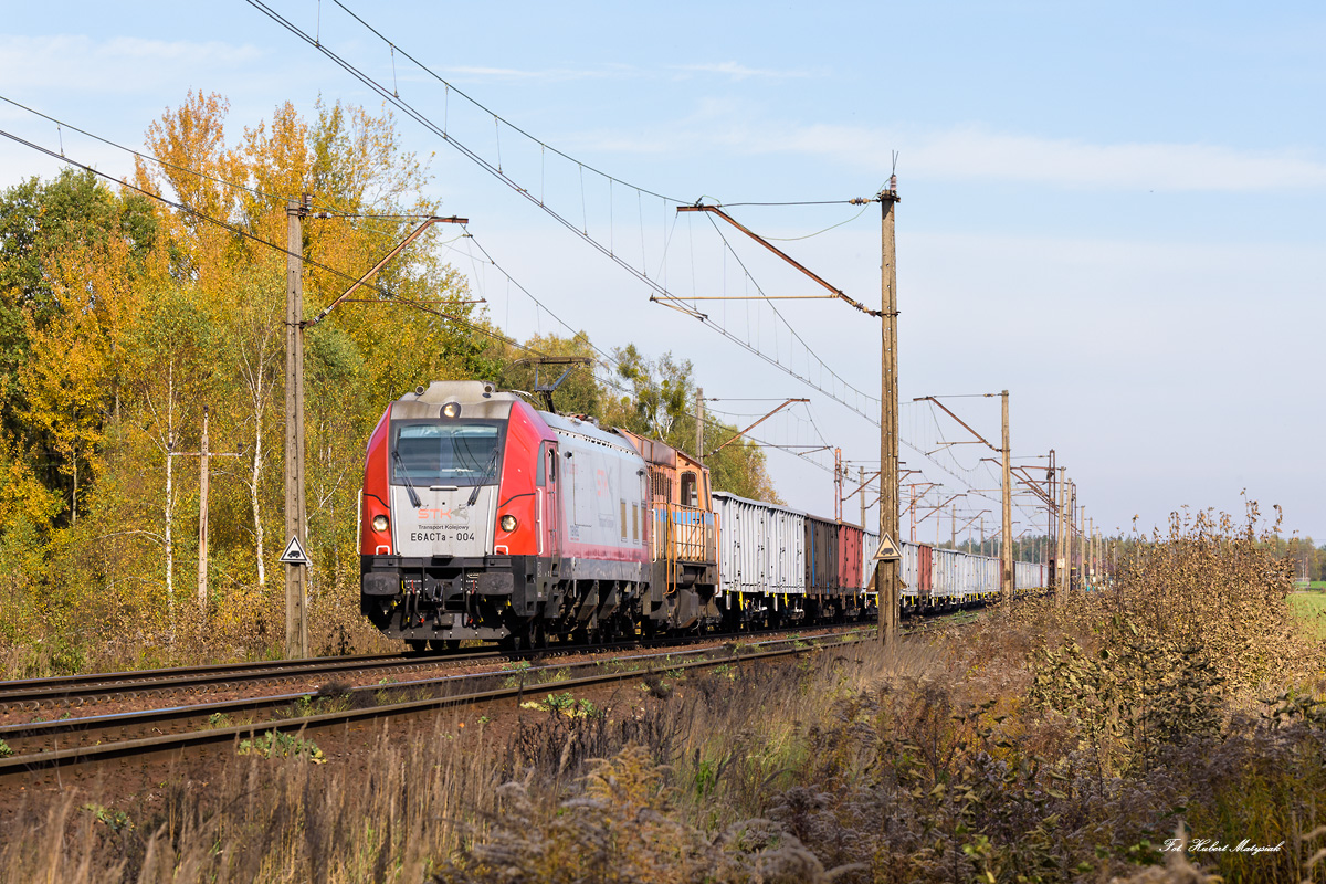 E6ACTa-004 i T448p-093