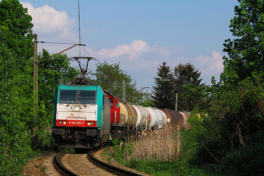 E186 250-7