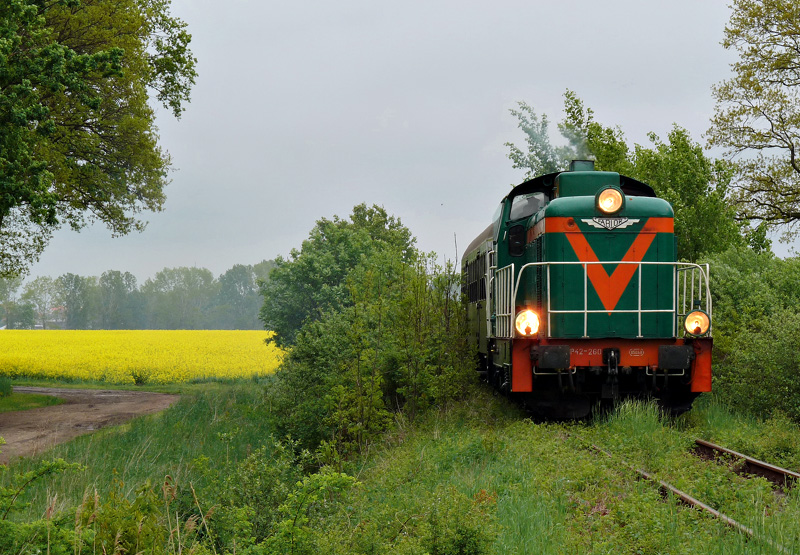 SP42-260