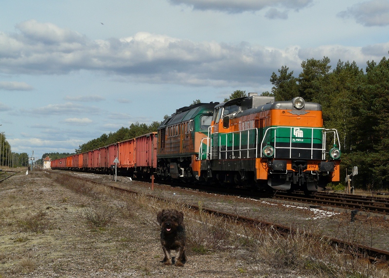 SM42-2142+M62-0161 i Pies