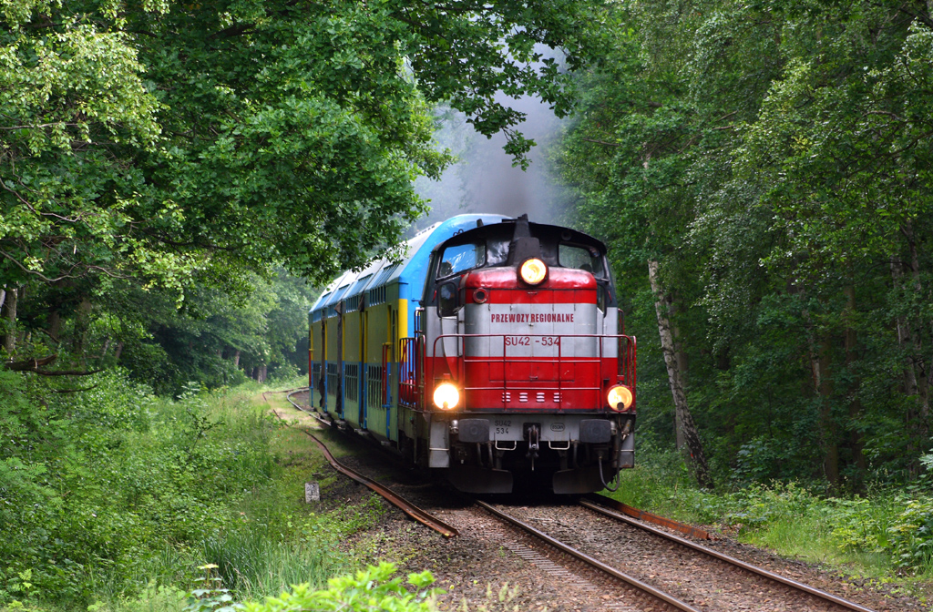 SU42-534