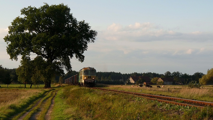 ST43-239 & ST43-198