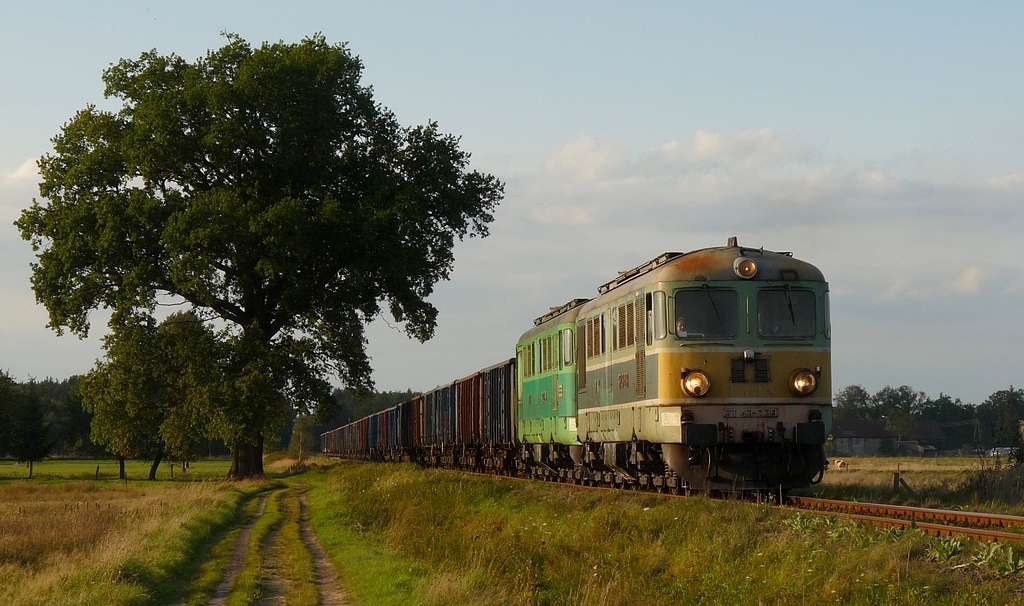 ST43-239  & ST43-198