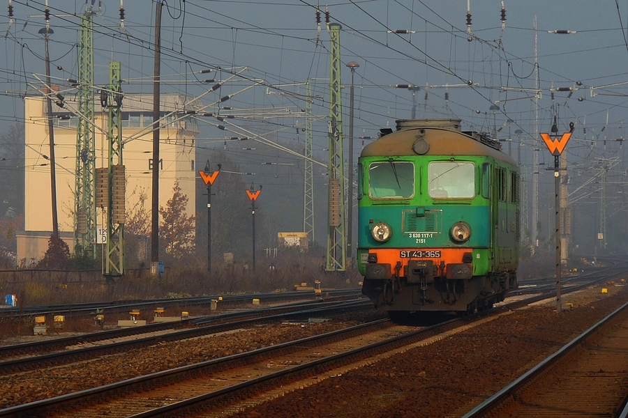 Rumun w Niemczech
