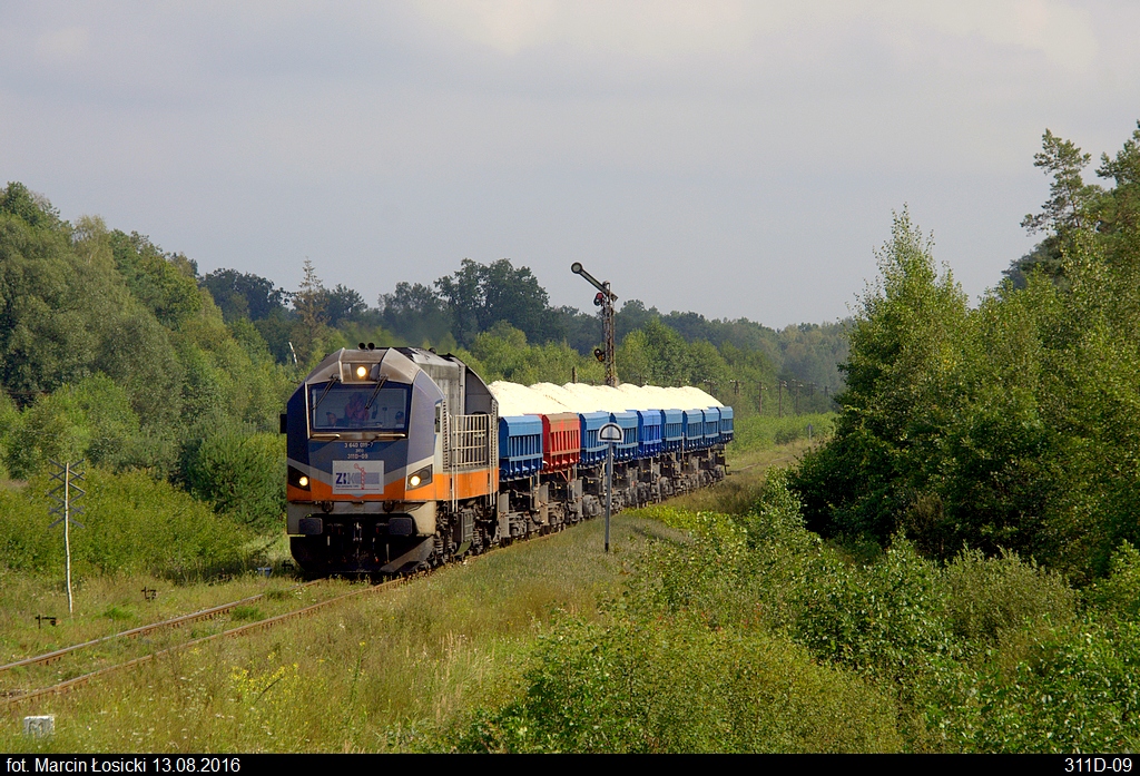 311D-09