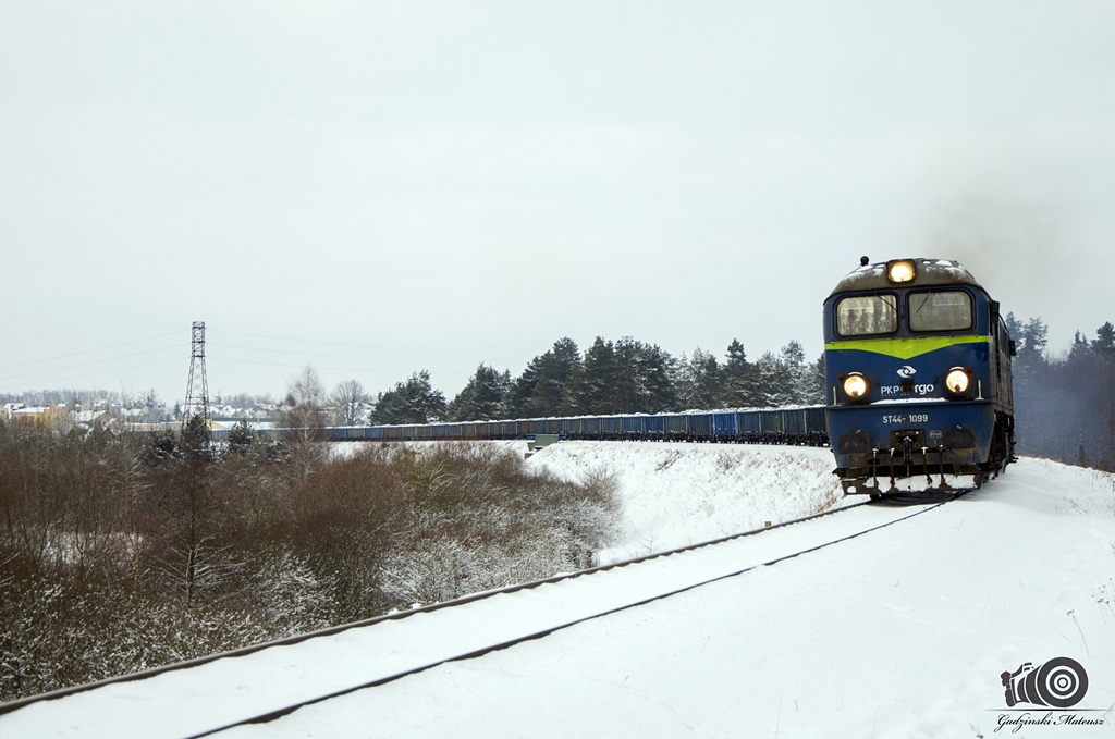 ST44-1099