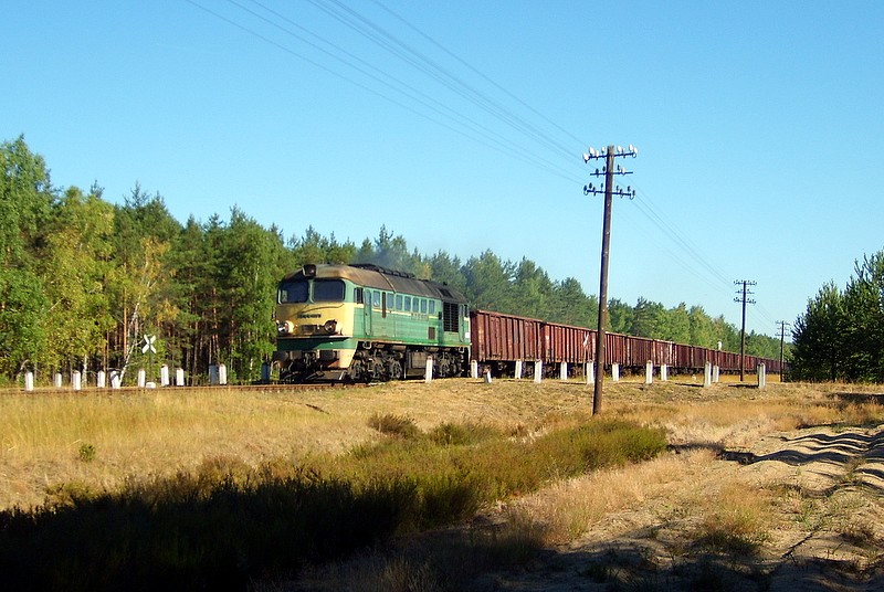ST44-1113