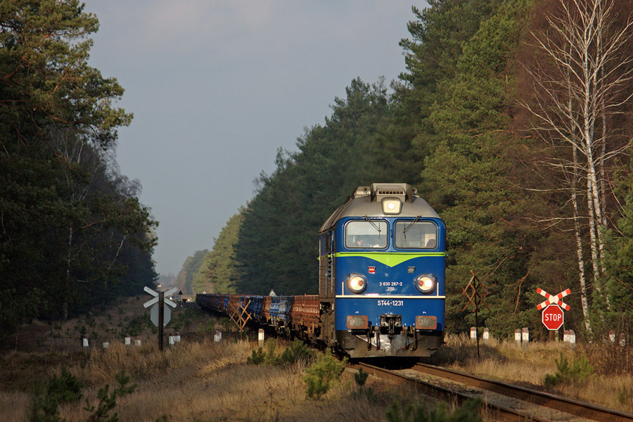ST44-1231