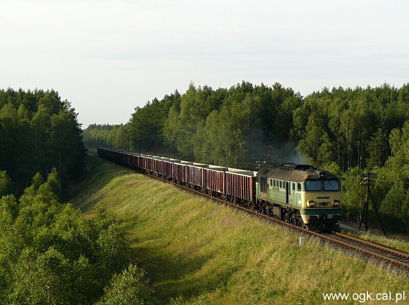 ST44-1113