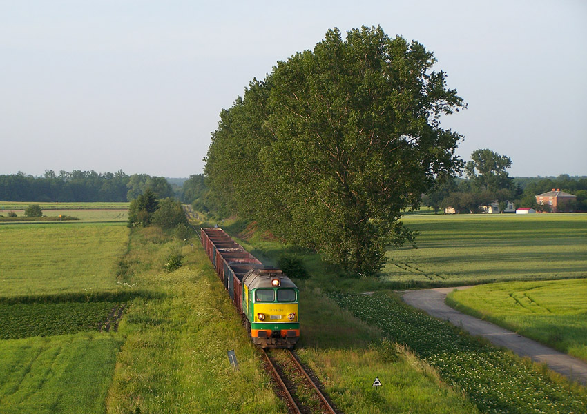 ST44-313