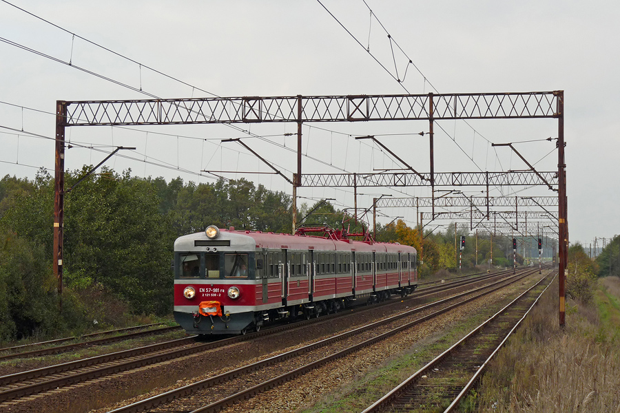 EN57-981