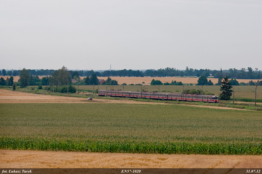 Słoneczny Słonecznik