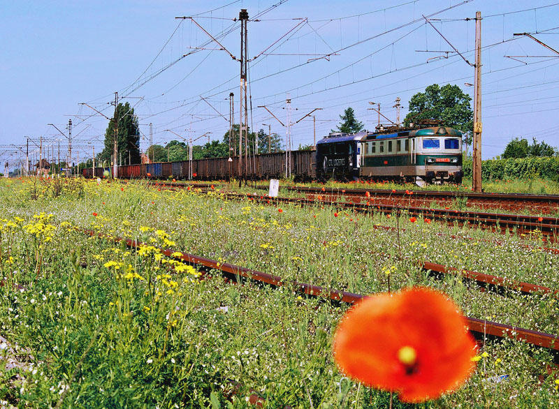 182 007-5
