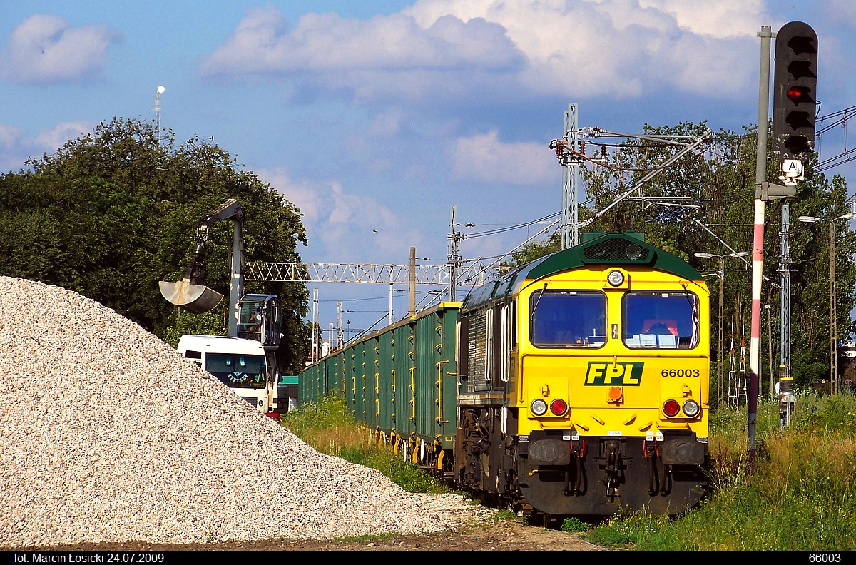 66003