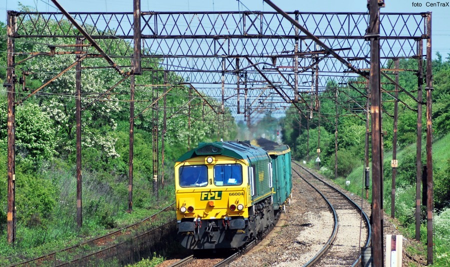 66004