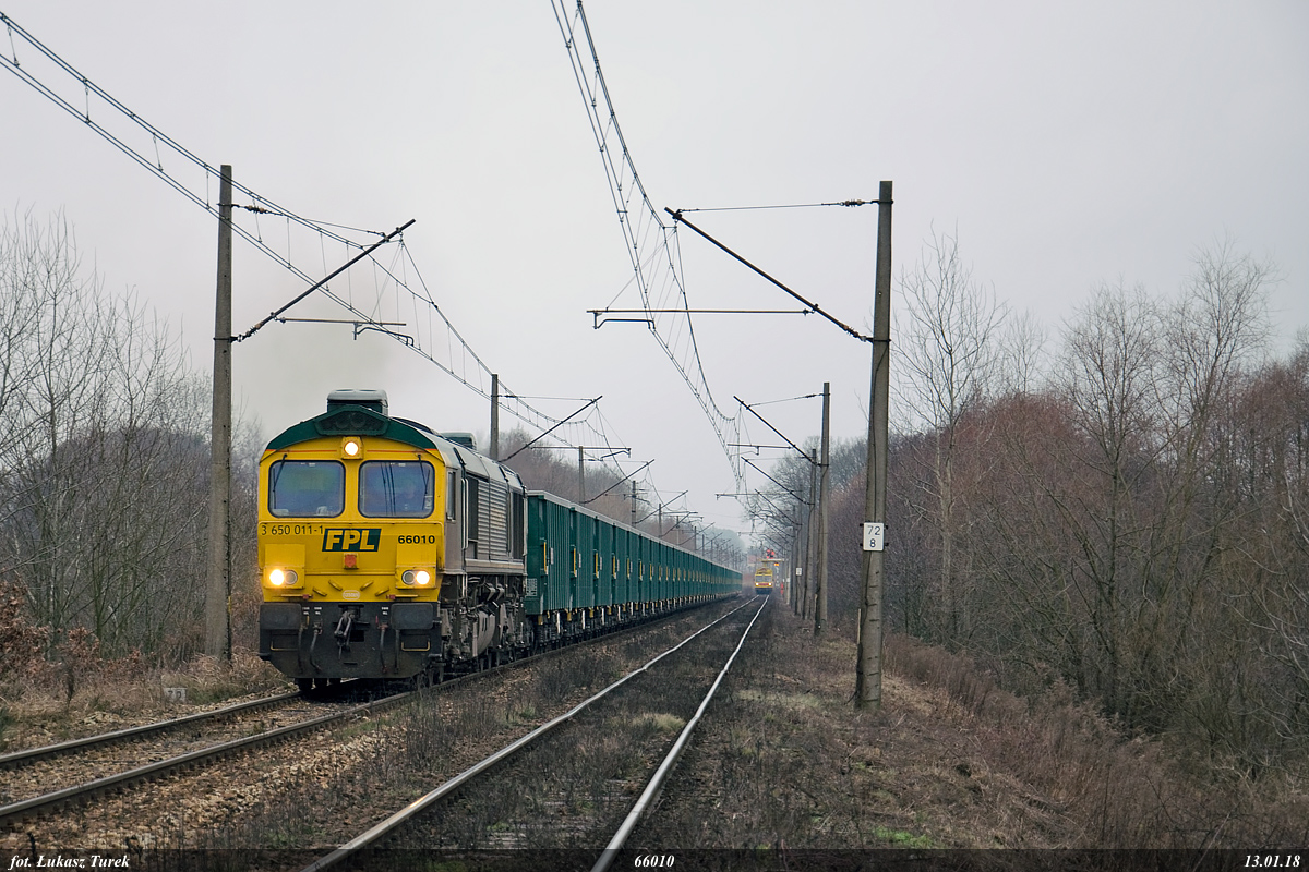 66010