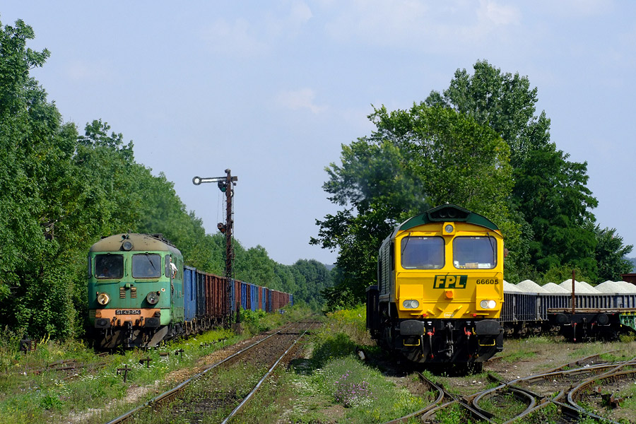 66605 i ST43-194