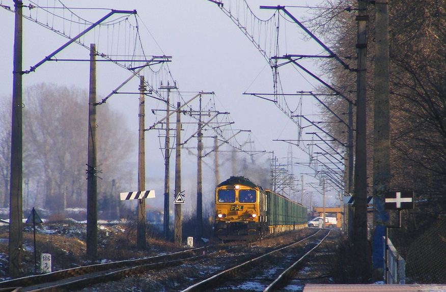 66003