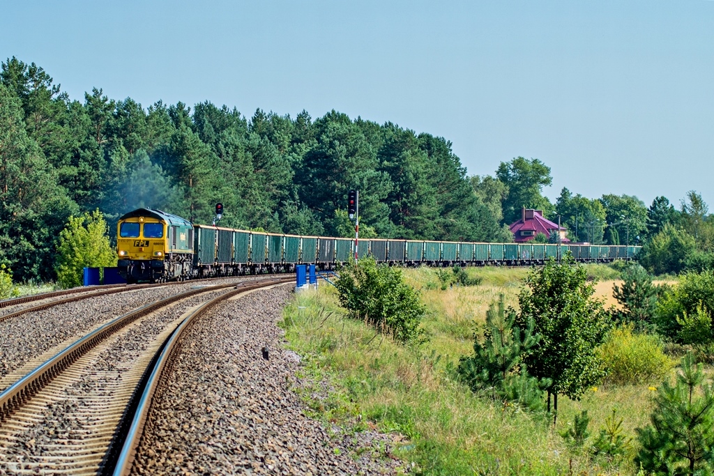 66010