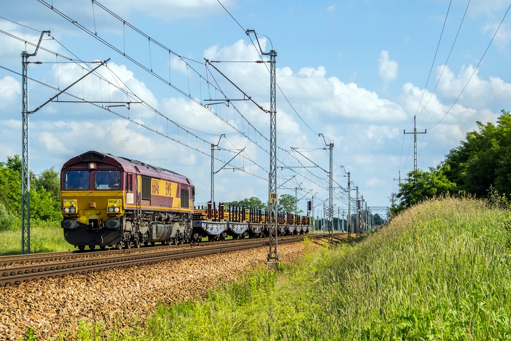66146