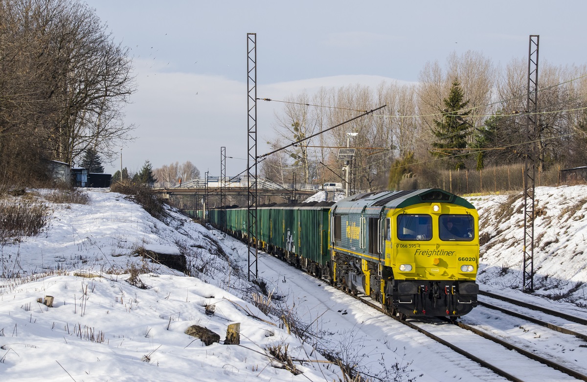 66020