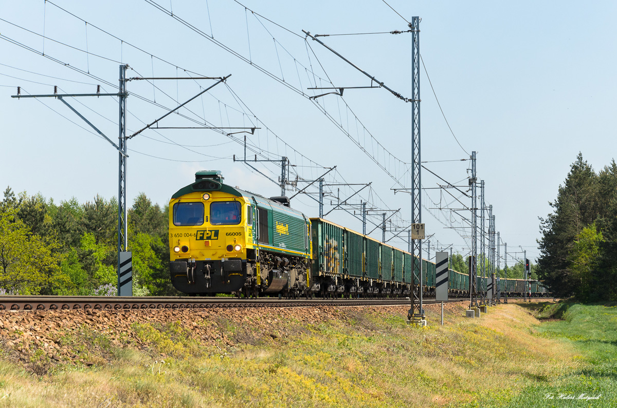 Class 66005