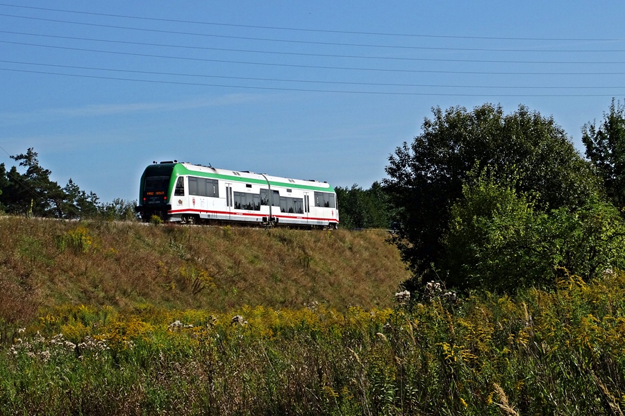 Urodzinowy SA133-009