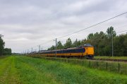 trio Koploperów