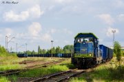 SM42-1304